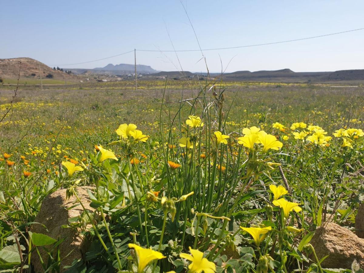 Vila El Molino De Arriba Níjar Exteriér fotografie
