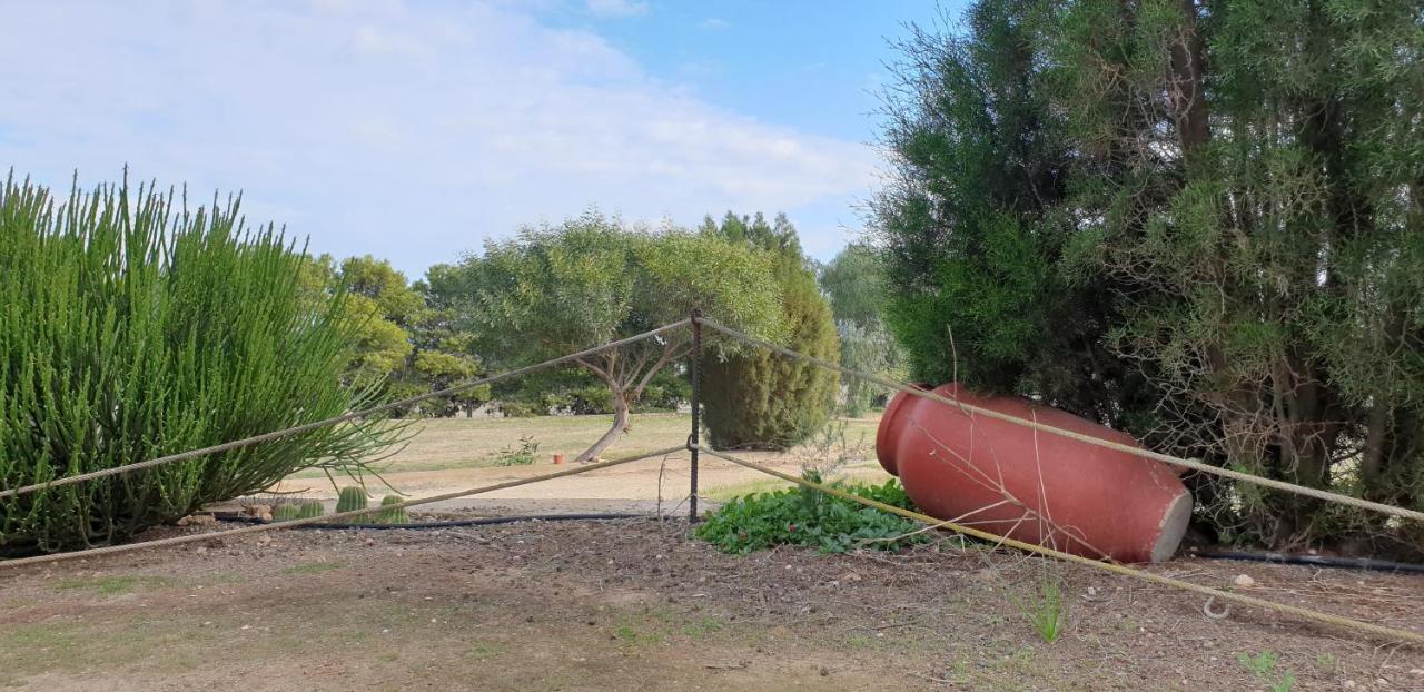 Vila El Molino De Arriba Níjar Exteriér fotografie