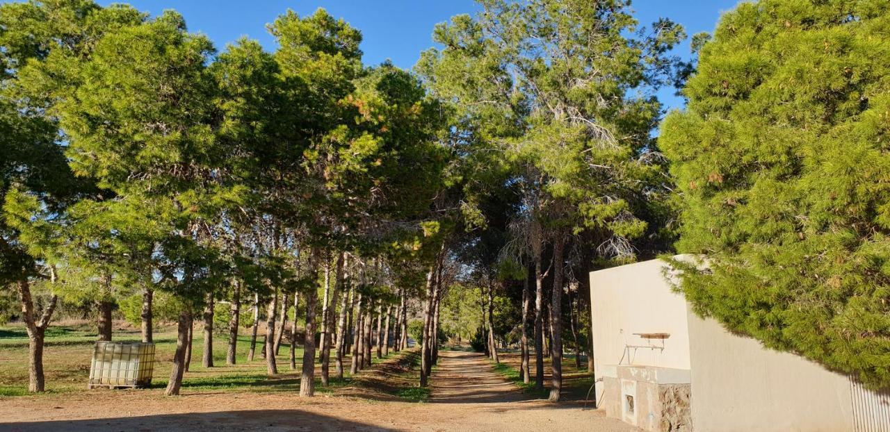 Vila El Molino De Arriba Níjar Exteriér fotografie