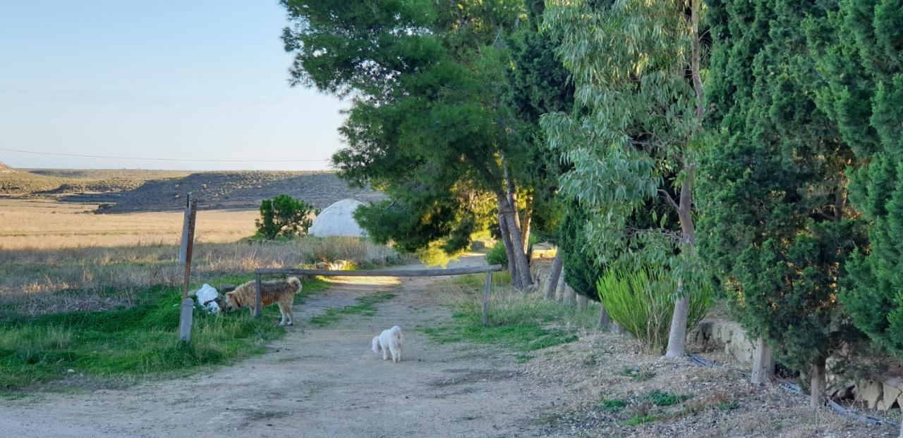 Vila El Molino De Arriba Níjar Exteriér fotografie