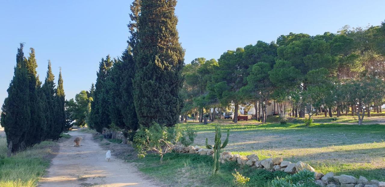 Vila El Molino De Arriba Níjar Exteriér fotografie