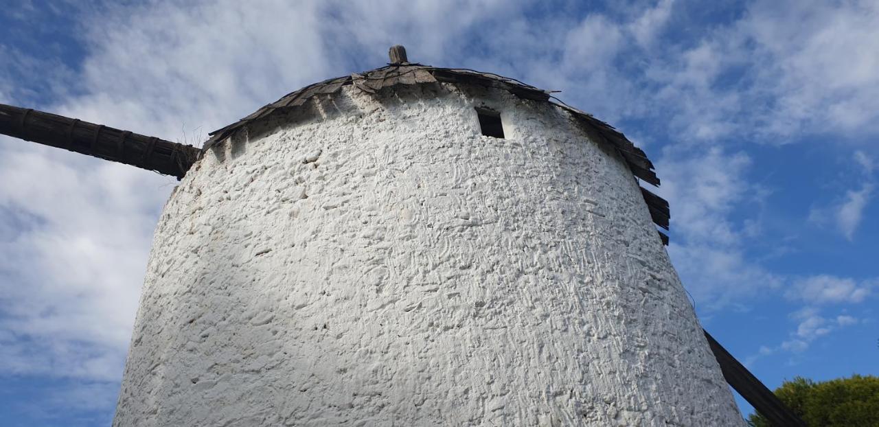 Vila El Molino De Arriba Níjar Exteriér fotografie