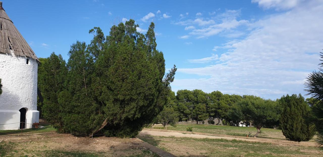 Vila El Molino De Arriba Níjar Exteriér fotografie