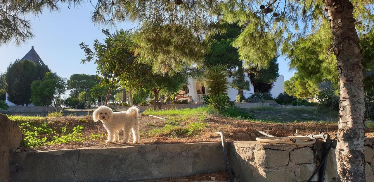 Vila El Molino De Arriba Níjar Exteriér fotografie